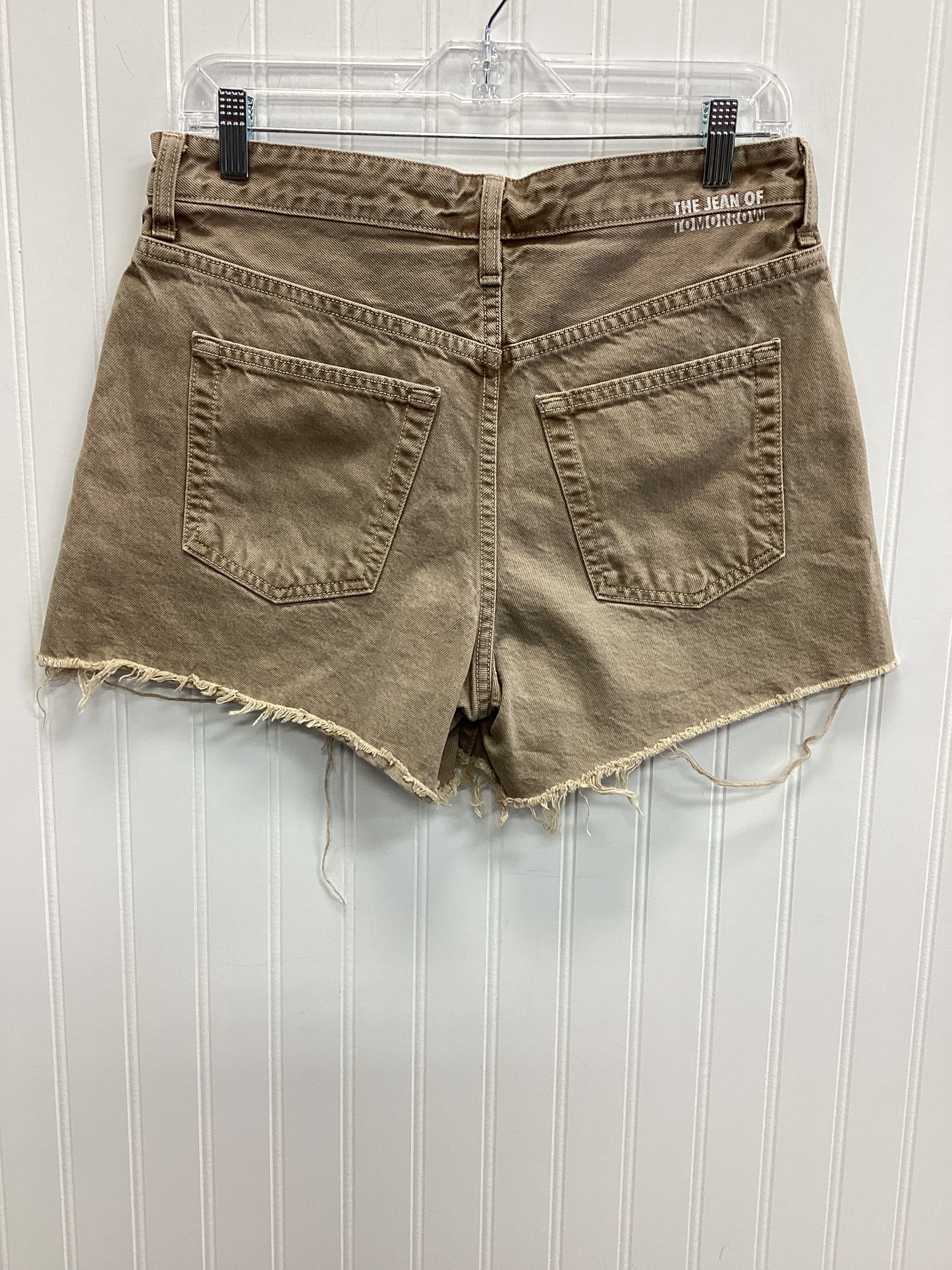 Shorts By Cmb In Brown Denim, Size:6