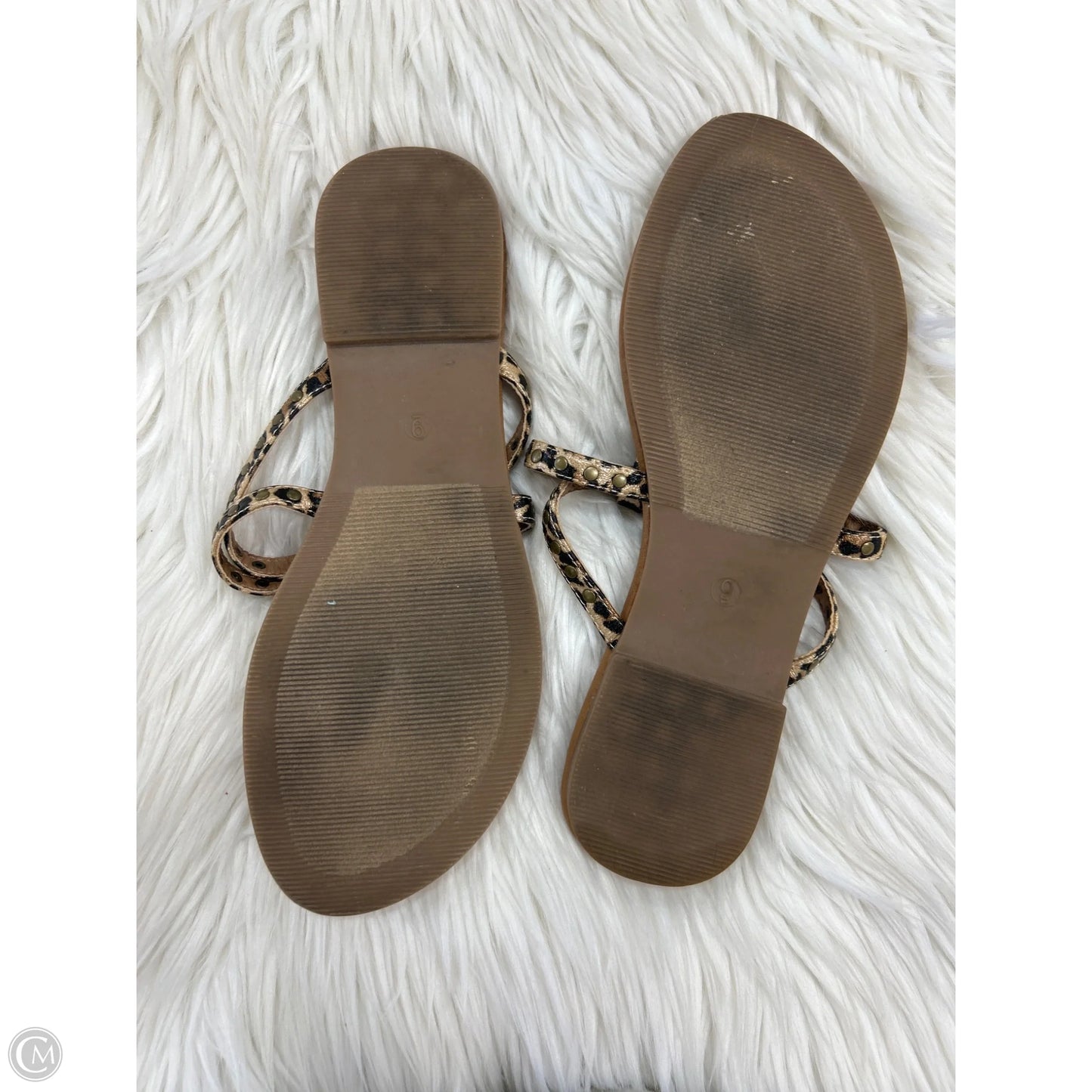 Sandals Flip Flops By Corkys In Animal Print, Size: 9