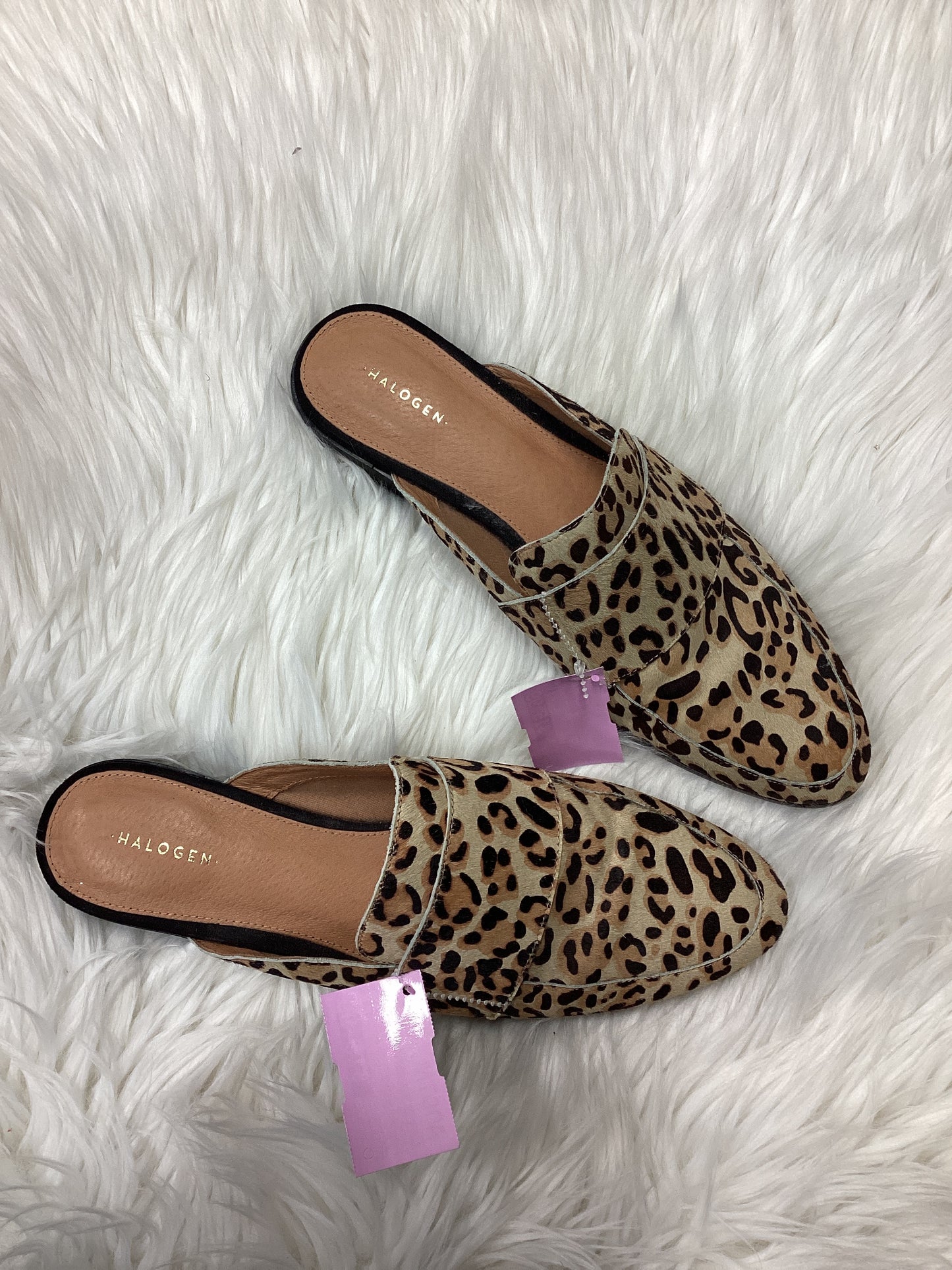 Shoes Flats By Halogen In Leopard Print, Size:9.5