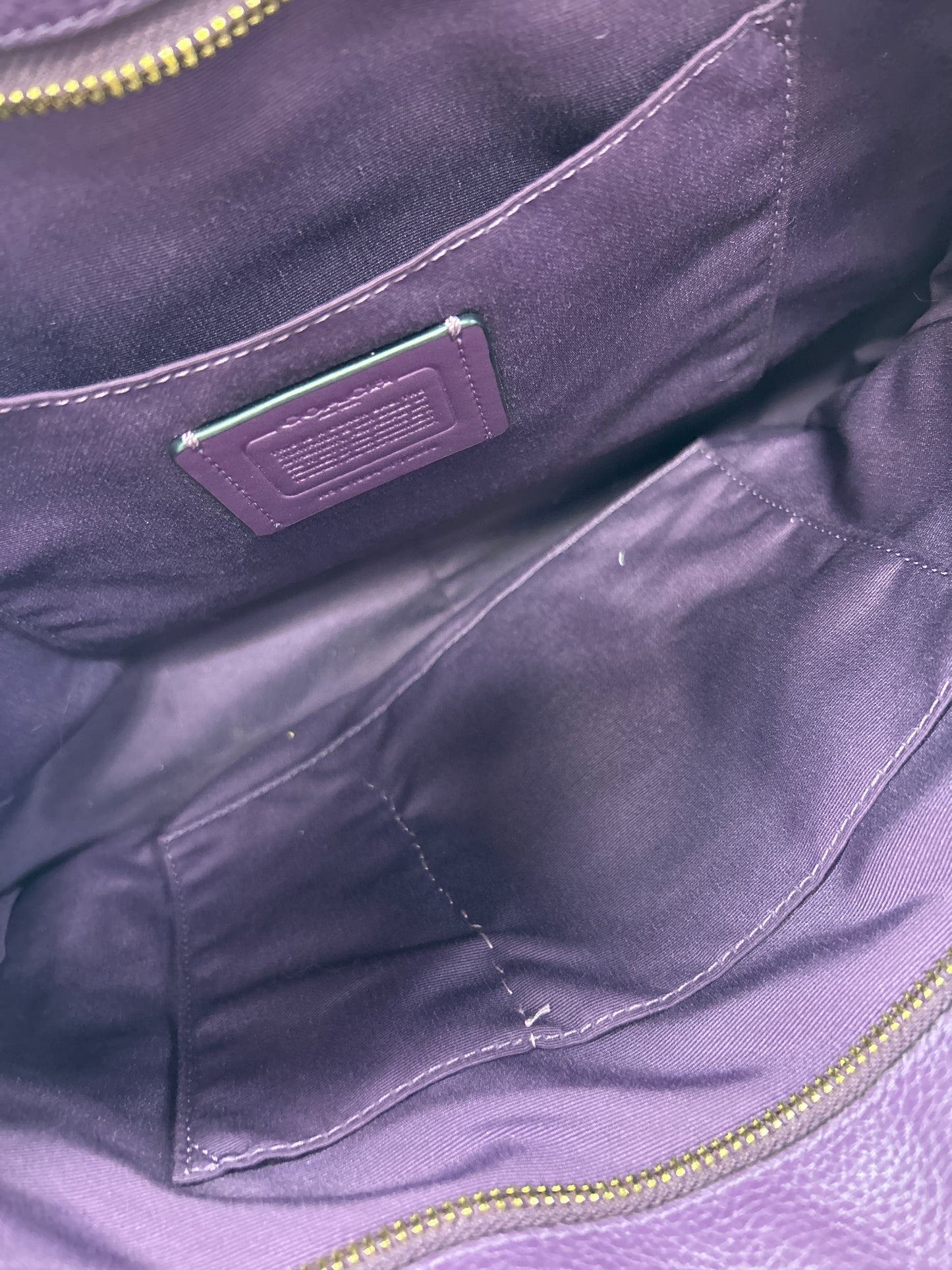 Handbag Designer By Coach In Purple, Size:Large