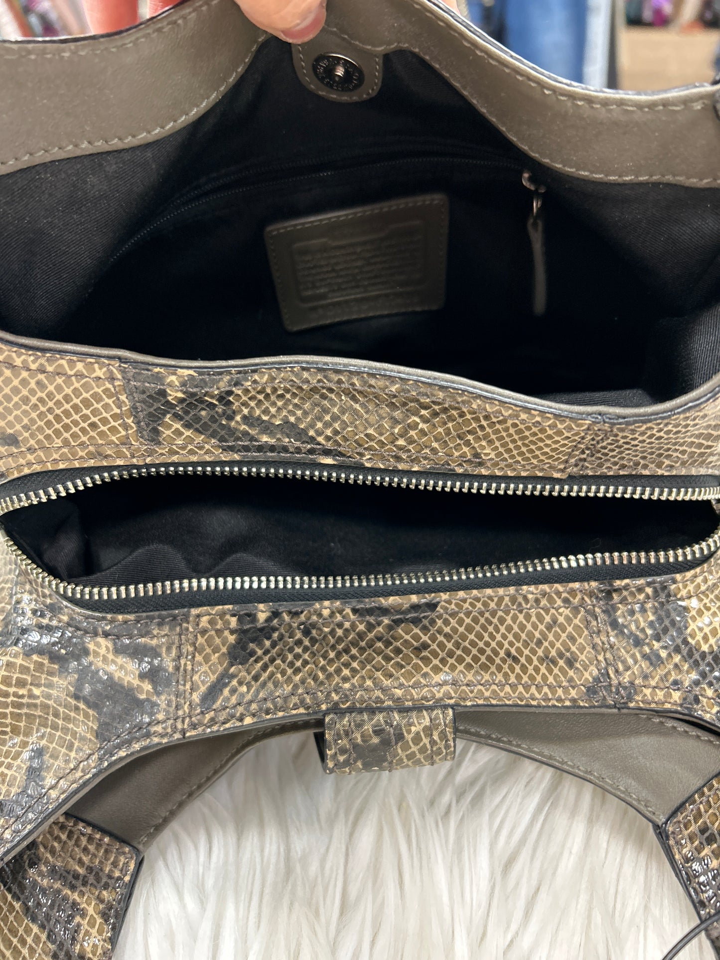 Handbag Designer By Coach In Snakeskin Print, Size:Medium