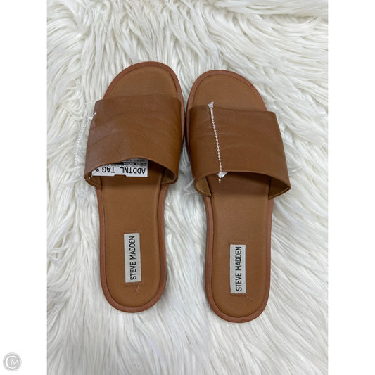 Sandals Flats By Steve Madden In Brown, Size: 9
