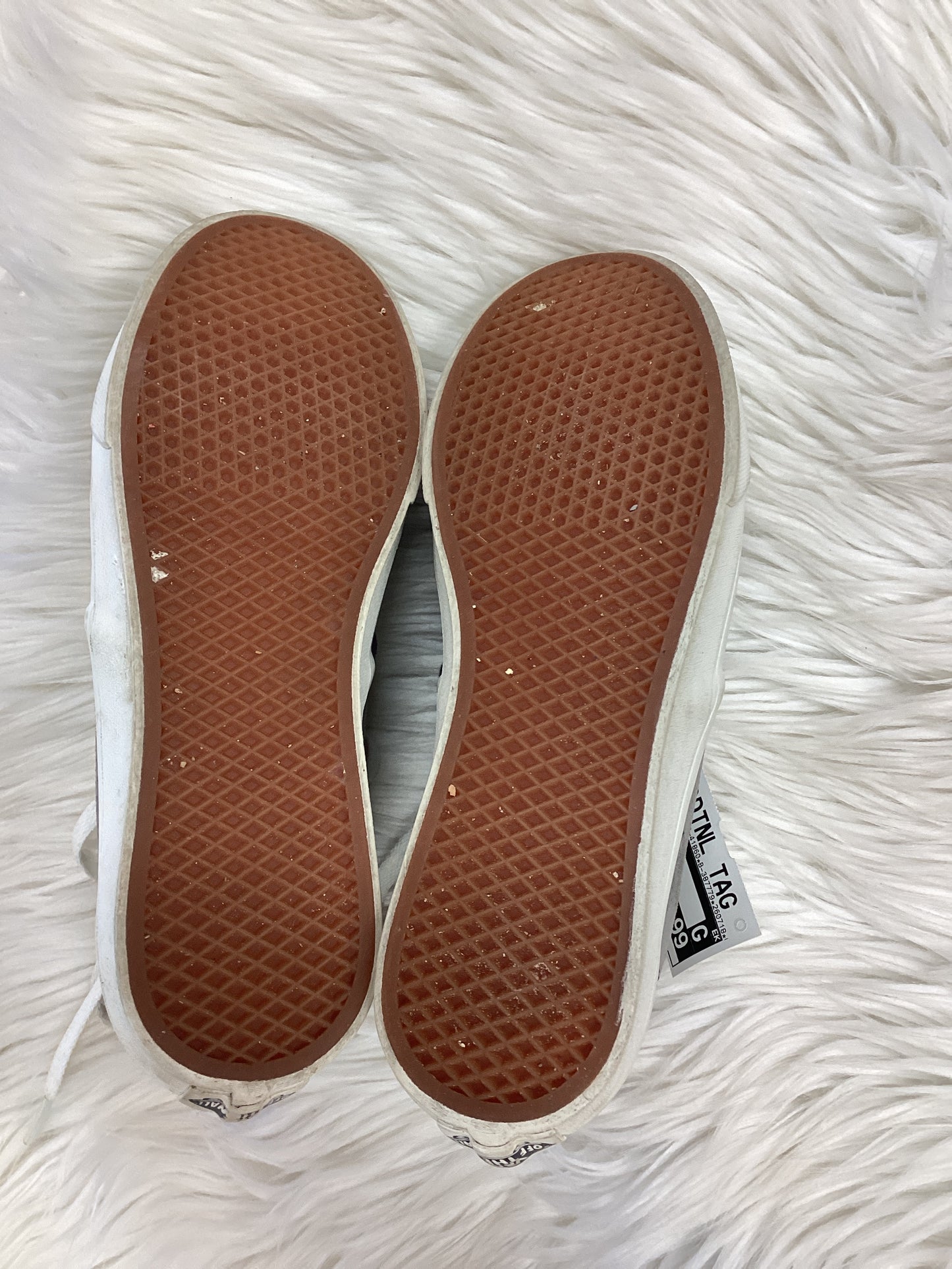 Shoes Sneakers By Vans In Grey, Size:7