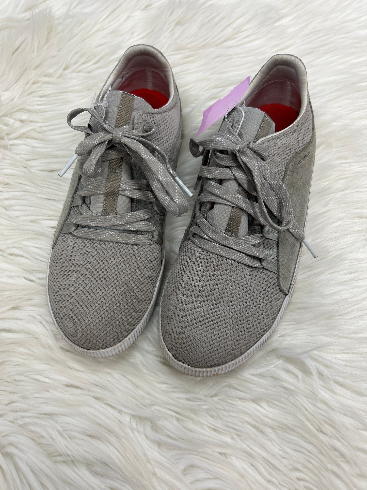Shoes Sneakers By Sorel In Grey, Size:8