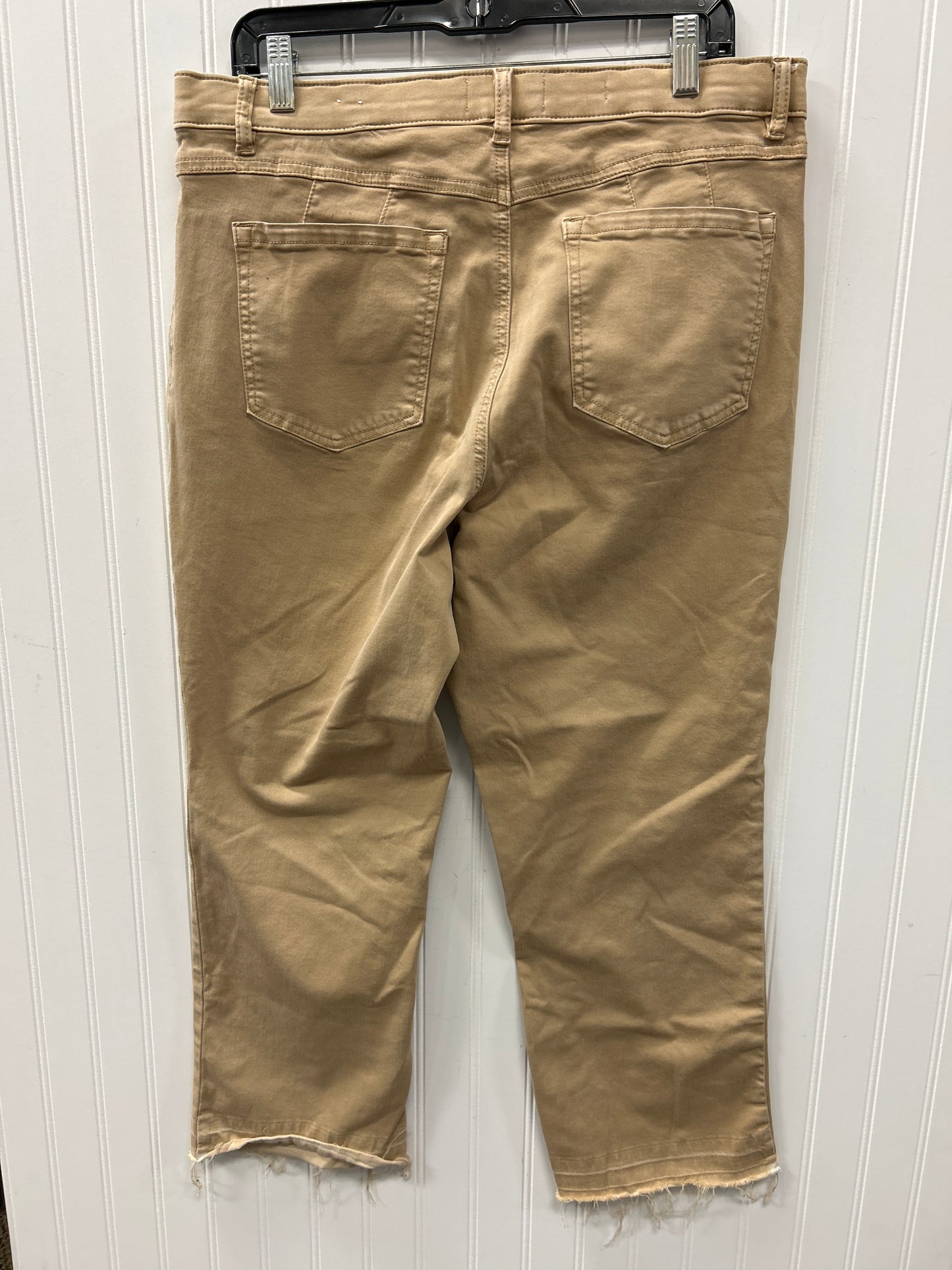 Jeans Straight By Tribal In Brown Denim, Size:14
