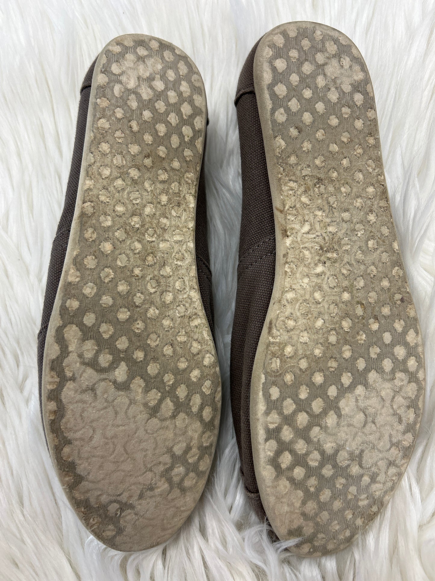 Shoes Flats By Toms In Brown, Size:8