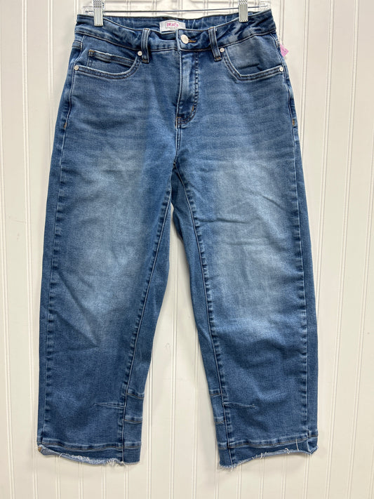 Jeans Straight By Clothes Mentor In Blue Denim, Size:8