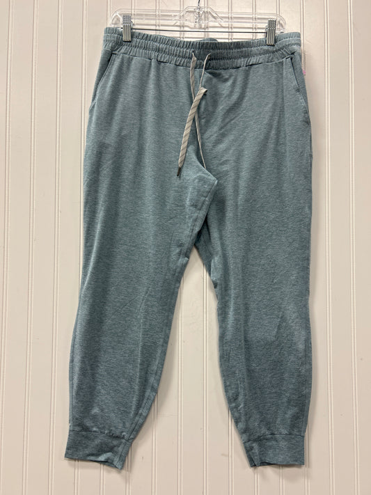 Athletic Pants By Kirkland In Blue, Size:L