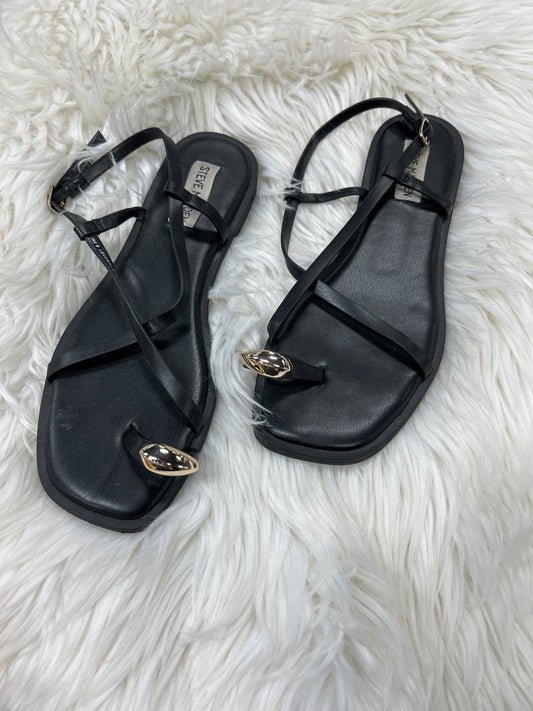 Sandals Flats By Steve Madden In Black, Size:8.5